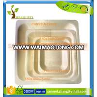 Disposable Square Salad Dessert Fruit Serving Wooden Plate